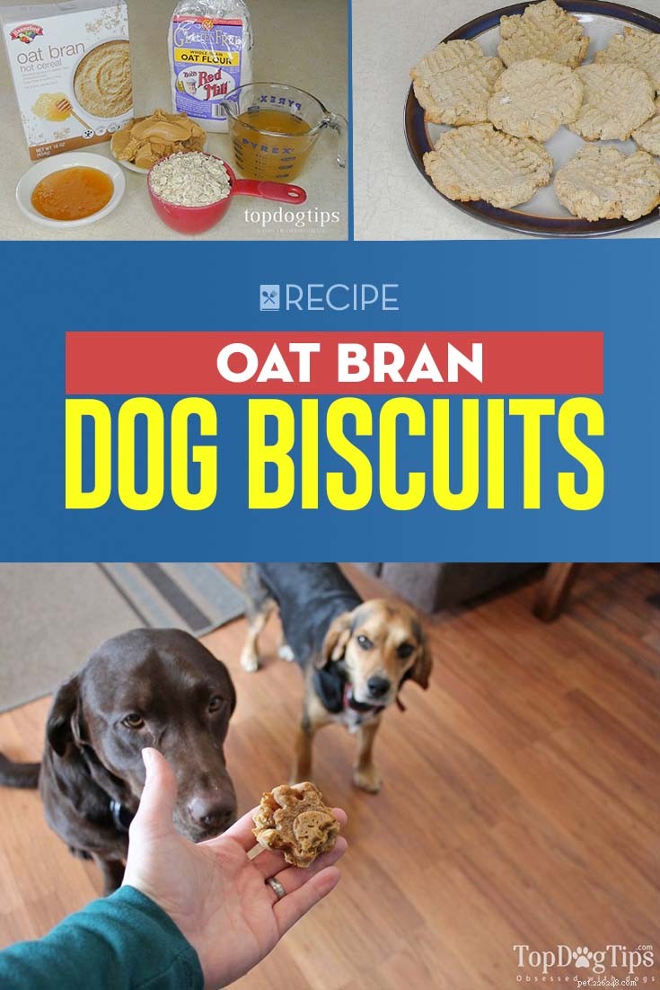 High-Fiber Oat Bran Dog Biscuits for Digestive Health