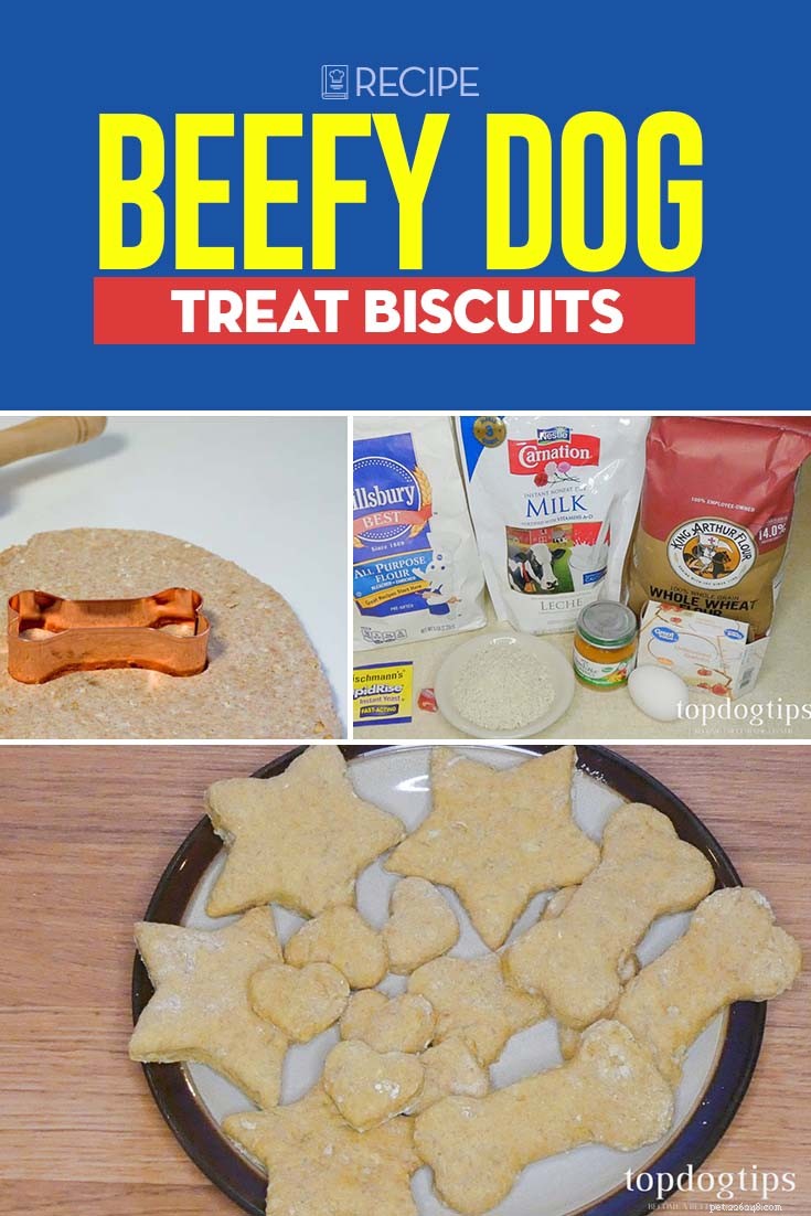 Beefy Dog Treat Biscuits: Homemade Recipe for Healthy Pups