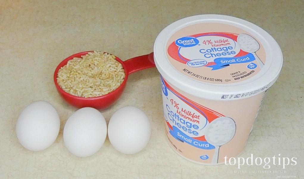 Egg-Based Diet to Soothe Your Dog’s Upset Stomach