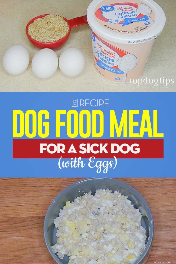 Egg-Based Diet to Soothe Your Dog’s Upset Stomach
