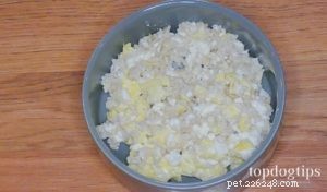 Egg-Based Diet to Soothe Your Dog’s Upset Stomach