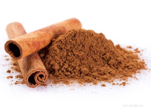 Safe & Beneficial: Adding Cinnamon to Your Homemade Dog Food