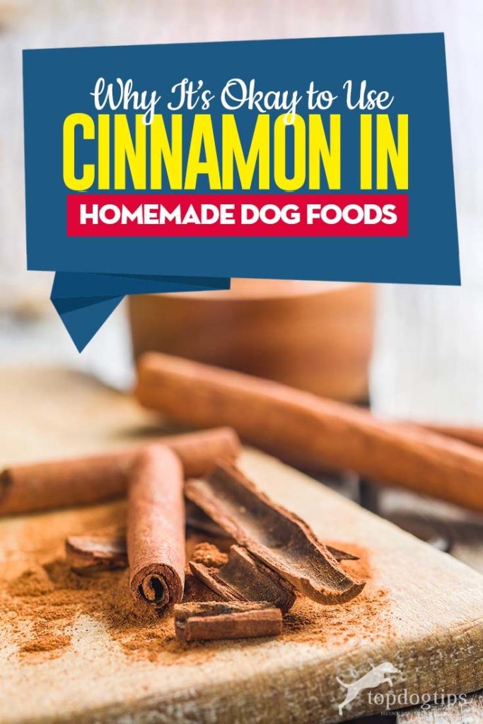 Safe & Beneficial: Adding Cinnamon to Your Homemade Dog Food