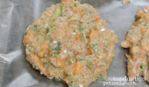 Nutrient‑Rich Chicken & Beef Patties – Gentle Diet for Dogs Undergoing Cancer Treatment