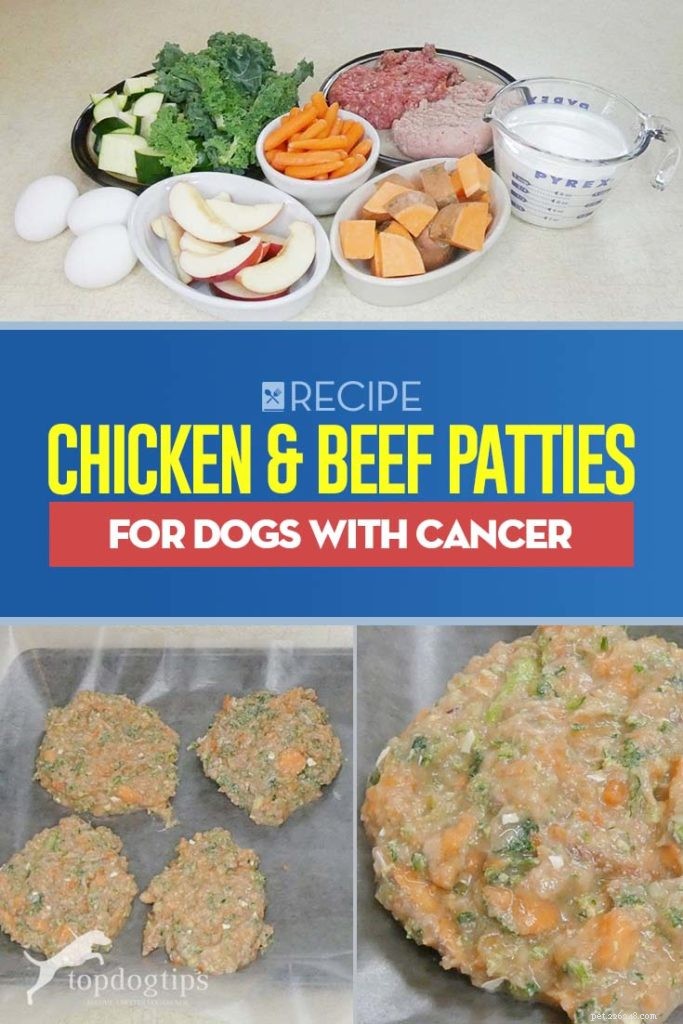 Nutrient‑Rich Chicken & Beef Patties – Gentle Diet for Dogs Undergoing Cancer Treatment