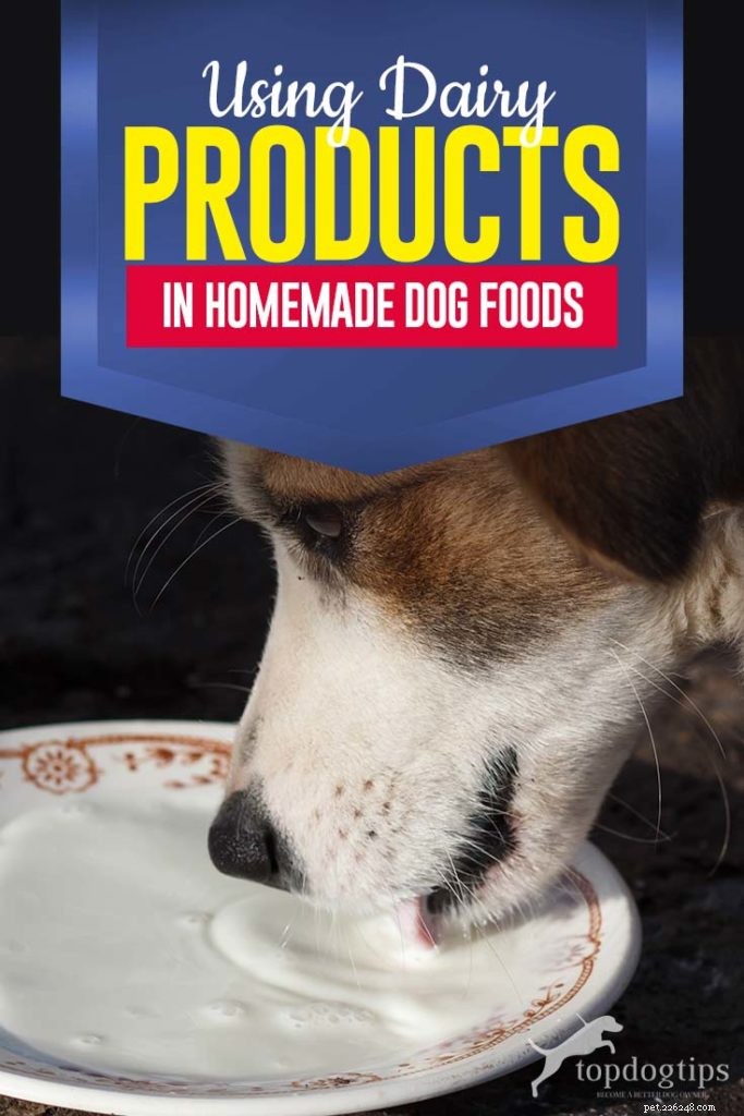 Is Dairy Safe in Homemade Dog Food? Expert Insights