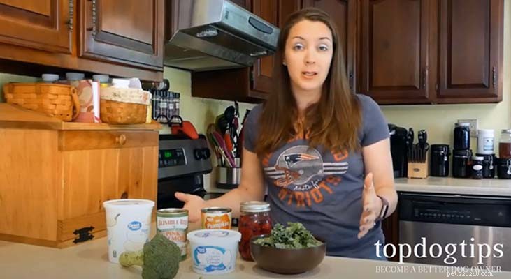 Easy Ingredient Swaps for Homemade Dog Food: Safe & Nutritious Alternatives
