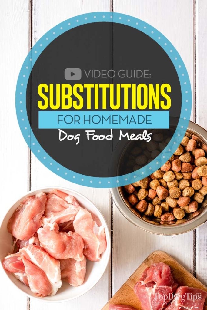 Easy Ingredient Swaps for Homemade Dog Food: Safe & Nutritious Alternatives