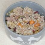 Homemade Slow Cooker Beef Stew for Dogs – Nutritious & Easy