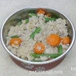 Vet-Approved Homemade Diet for Diabetic Dogs