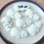 Quick & Healthy Homemade Frozen Dog Treats