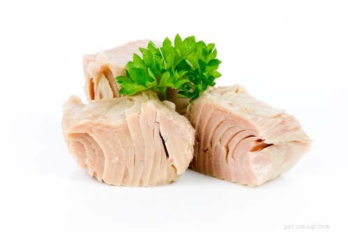 5 Budget-Friendly Homemade Dog Food Recipes for Healthy, Happy Pets