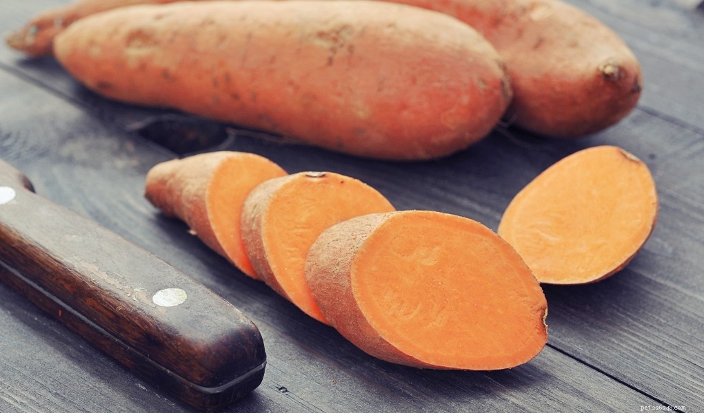 Homemade Sweet Potato Dog Treats: Healthy & Easy