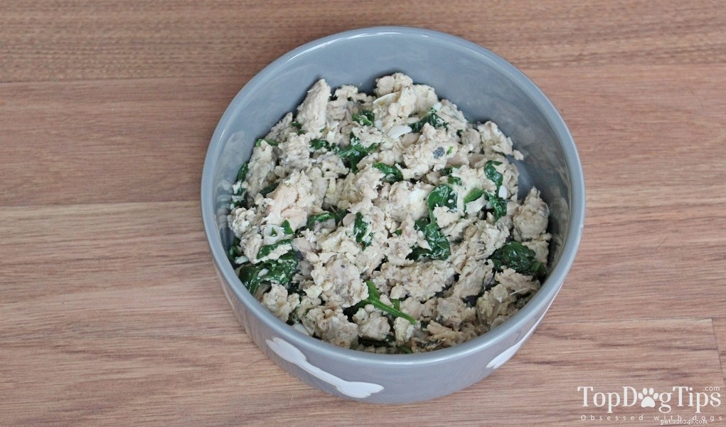 5 Nutritious Homemade Wet Dog Food Recipes to Re‑Engage Your Pet