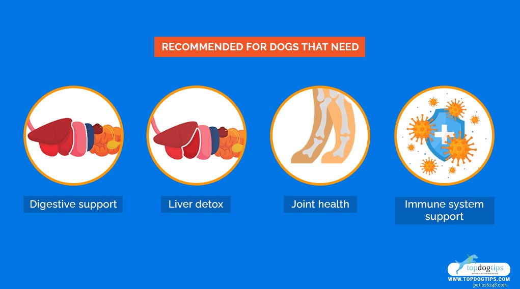 Homemade Bone Broth for Dogs: Simple, Nutrient‑Rich Recipe