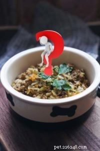 8 Hidden Hazards of DIY Dog Food: Protect Your Pet