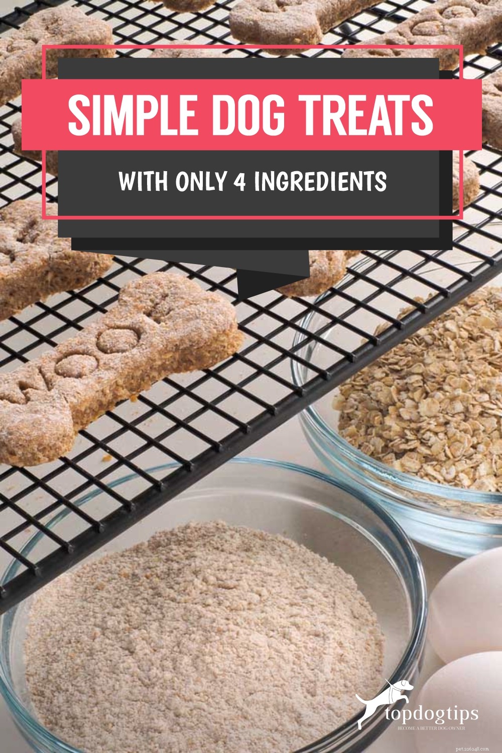 4-Ingredient Homemade Dog Treats for Sensitive Stomachs