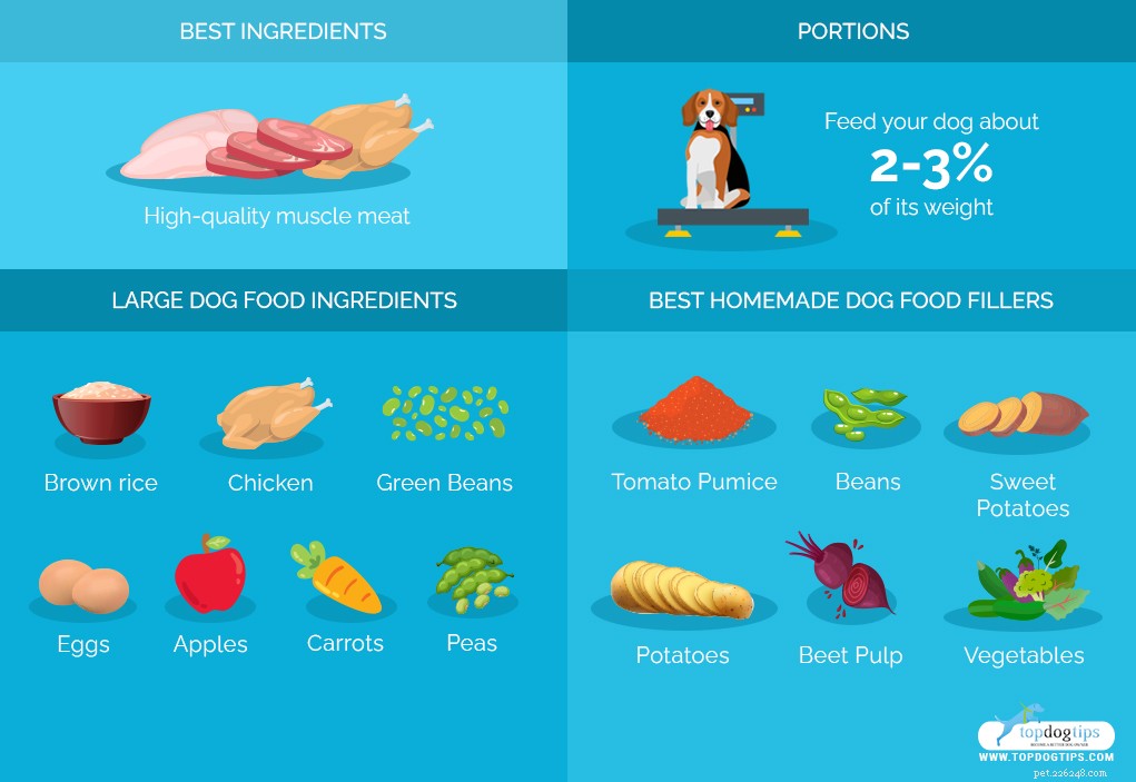 Homemade Dog Food Recipe for Large Breeds: Balanced Nutrition & Health