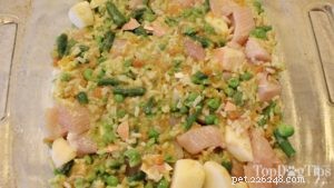 Homemade Dog Food Recipe for Large Breeds: Balanced Nutrition & Health