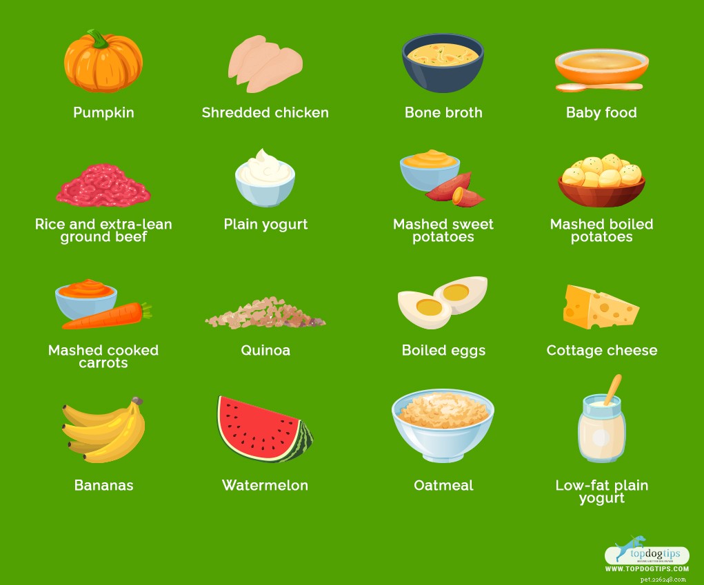 Gentle Chicken & Rice Diet for Dogs with Upset Stomachs
