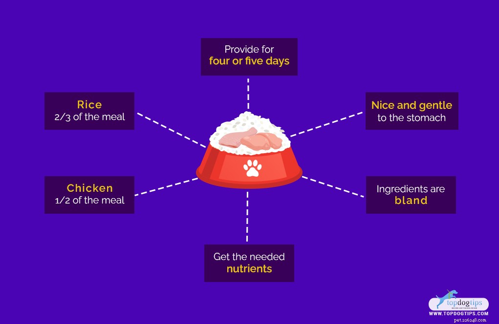 Gentle Chicken & Rice Diet for Dogs with Upset Stomachs