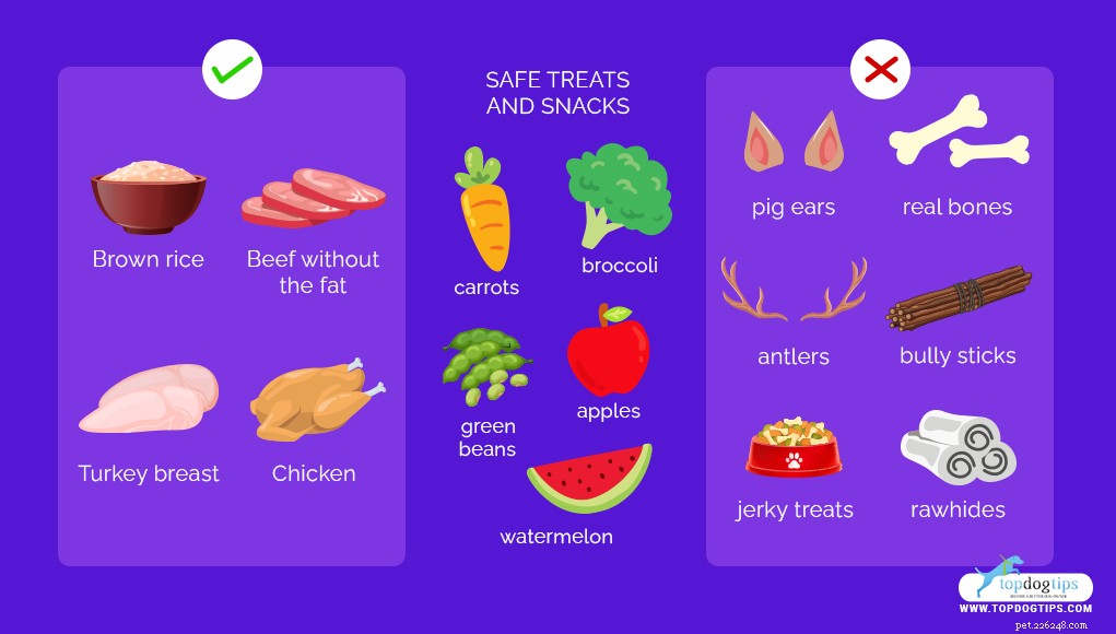 Homemade Dog Food for Renal Disease: Safe, Nutritious Recipes to Support Kidney Health