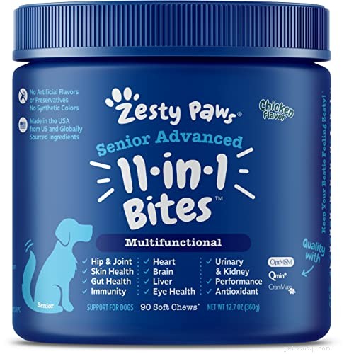 Determining the Right Portion of Homemade Dog Food for Your Canine