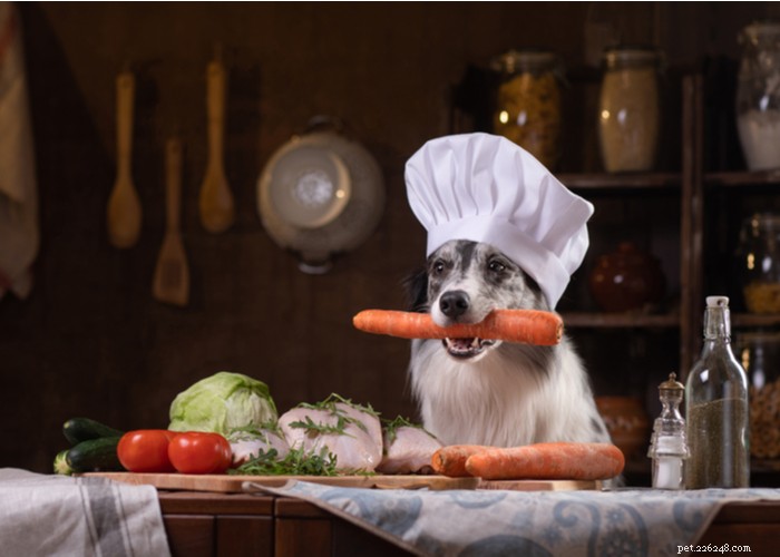 Determining the Right Portion of Homemade Dog Food for Your Canine