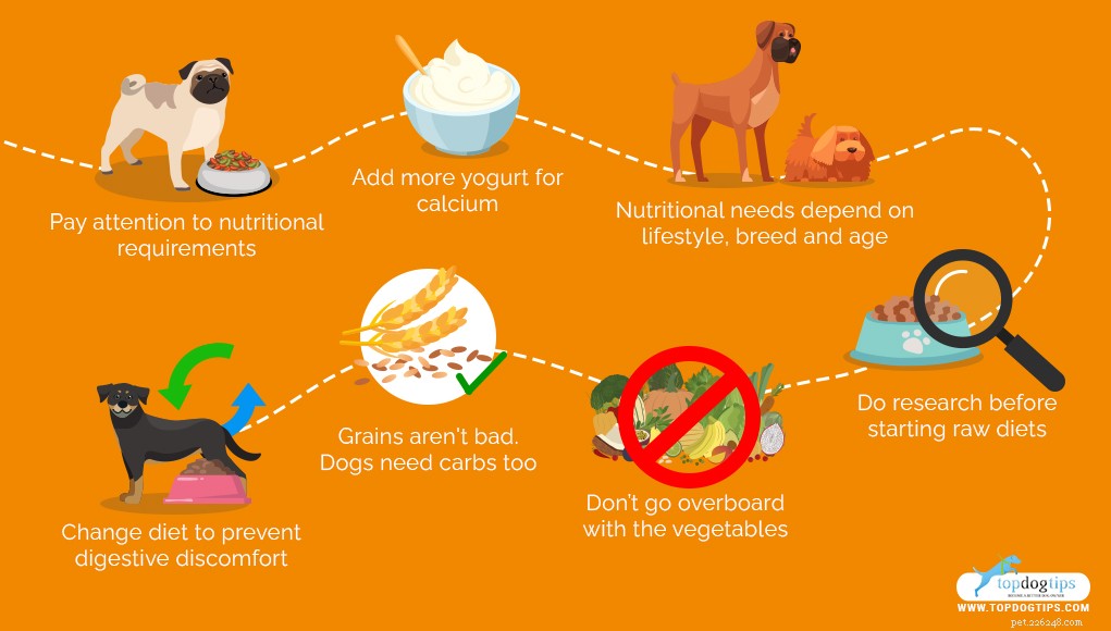 Determining the Right Portion of Homemade Dog Food for Your Canine