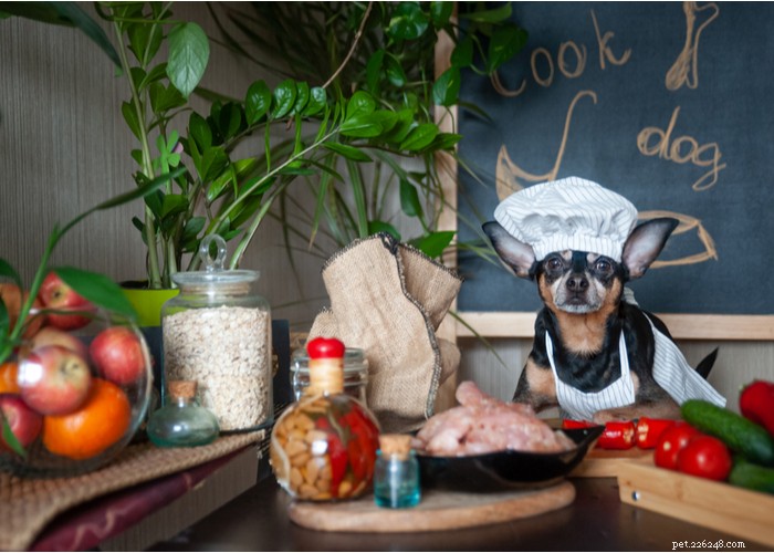 Determining the Right Portion of Homemade Dog Food for Your Canine