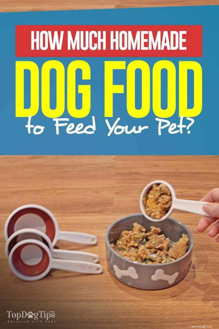 Determining the Right Portion of Homemade Dog Food for Your Canine