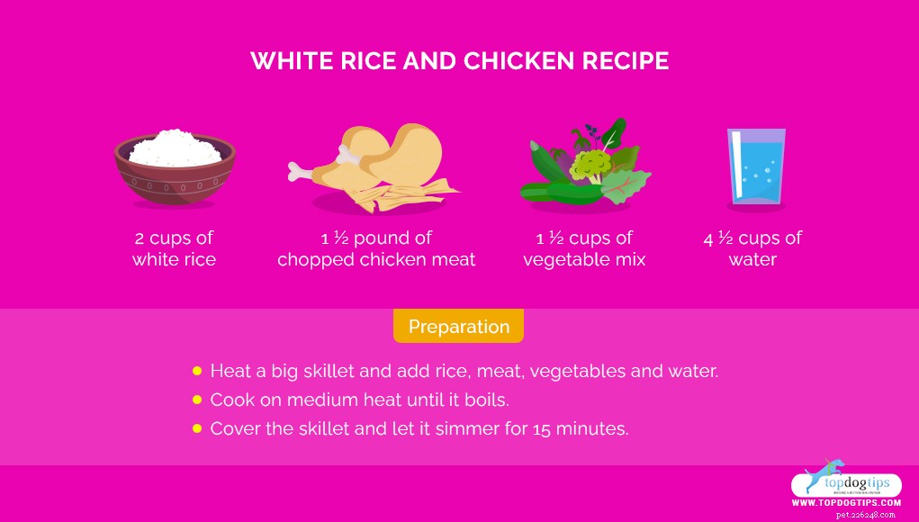 5 Easy Homemade Dog Food Recipes for Sensitive Stomachs