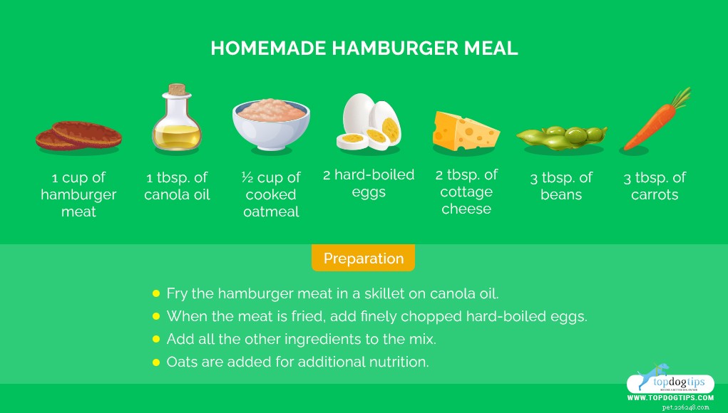 5 Easy Homemade Dog Food Recipes for Sensitive Stomachs