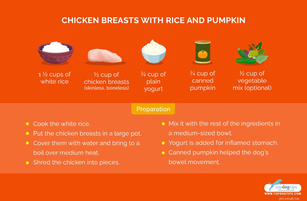 5 Easy Homemade Dog Food Recipes for Sensitive Stomachs