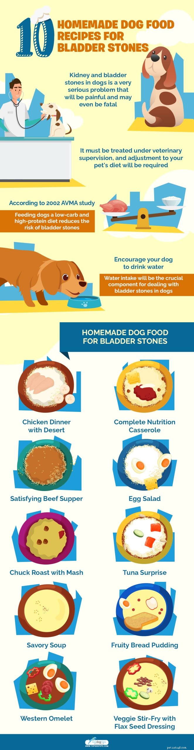 Safe Homemade Dog Food Recipes for Managing Bladder Stones