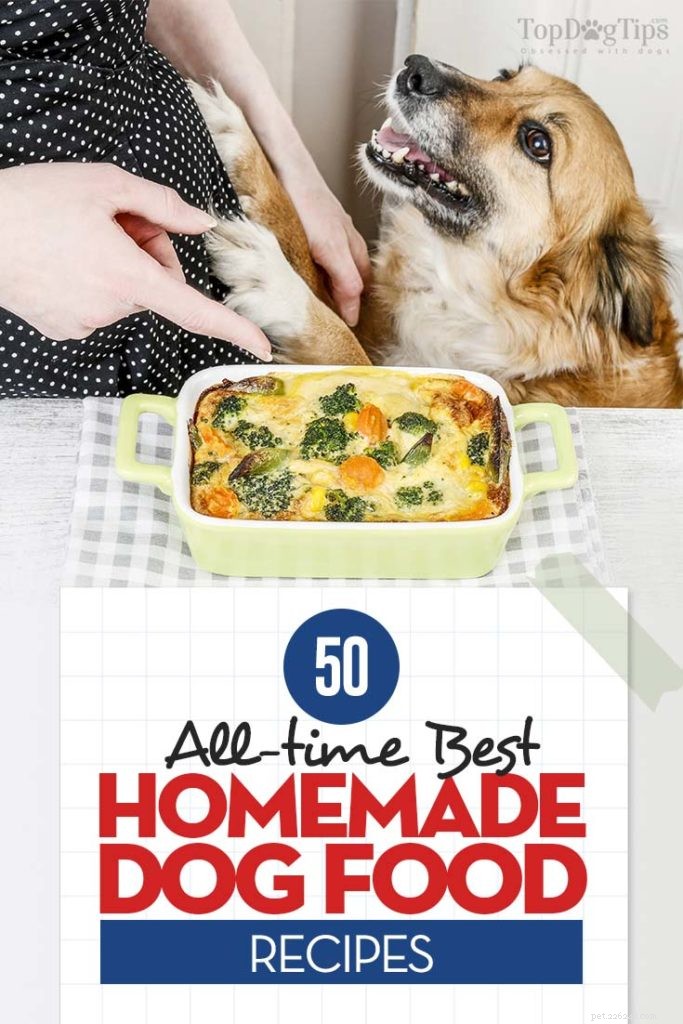 50 Expert‑Approved Homemade Dog Food Recipes for a Healthy, Balanced Diet