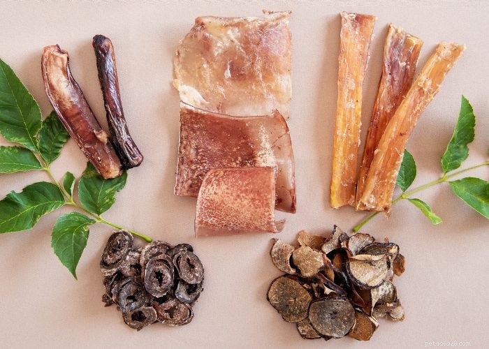 50 Expert‑Approved Homemade Dog Food Recipes for a Healthy, Balanced Diet