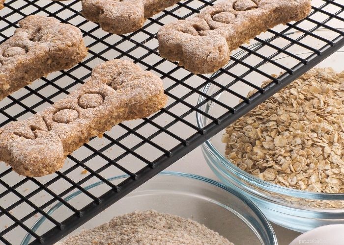 50 Expert‑Approved Homemade Dog Food Recipes for a Healthy, Balanced Diet
