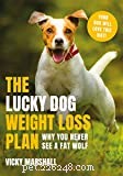 9 Must-Read Cookbooks for Safe Homemade Dog Food