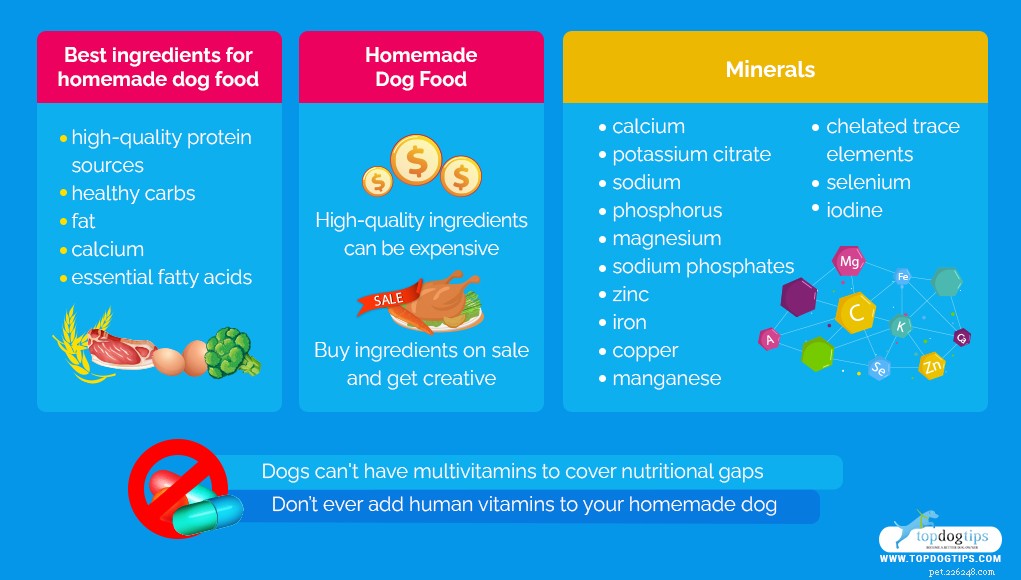 Must‑Have Supplements for Balanced Homemade Dog Food