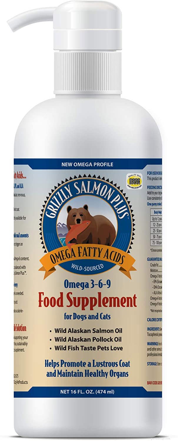 Must‑Have Supplements for Balanced Homemade Dog Food