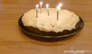Healthy Homemade Dog Birthday Cake Recipe – Celebrate with a Nutritious Treat