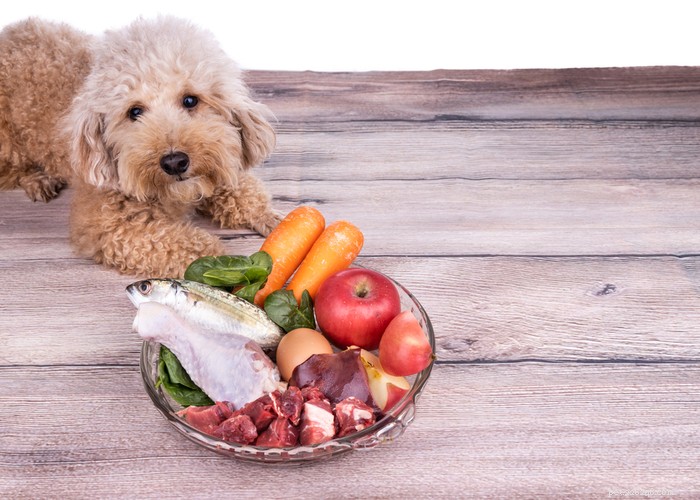 Simple Homemade Raw Dog Food Recipes for a Healthy, Natural Diet