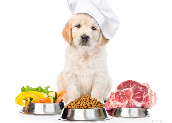 Simple Homemade Raw Dog Food Recipes for a Healthy, Natural Diet