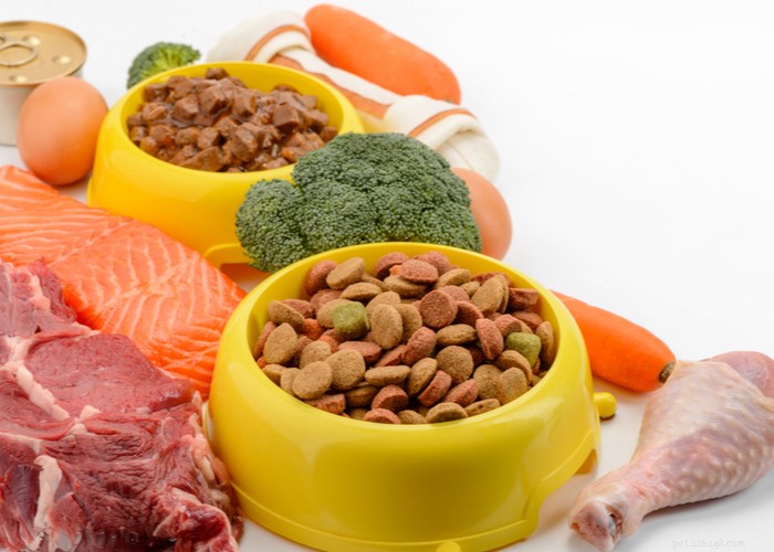 Simple Homemade Raw Dog Food Recipes for a Healthy, Natural Diet