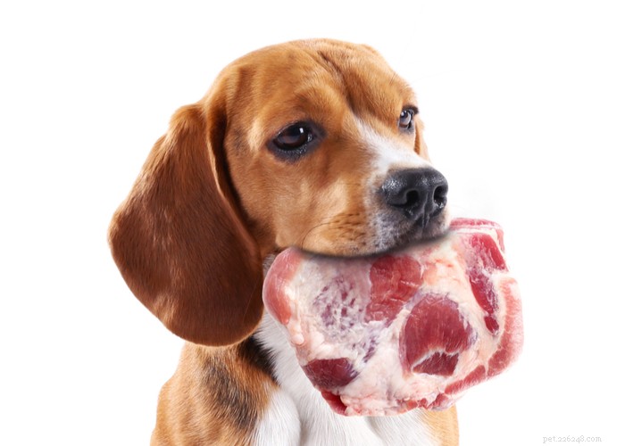 Simple Homemade Raw Dog Food Recipes for a Healthy, Natural Diet
