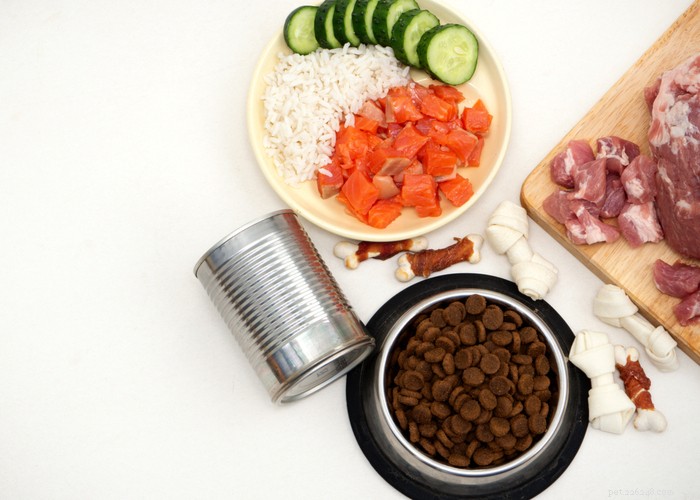 Simple Homemade Raw Dog Food Recipes for a Healthy, Natural Diet