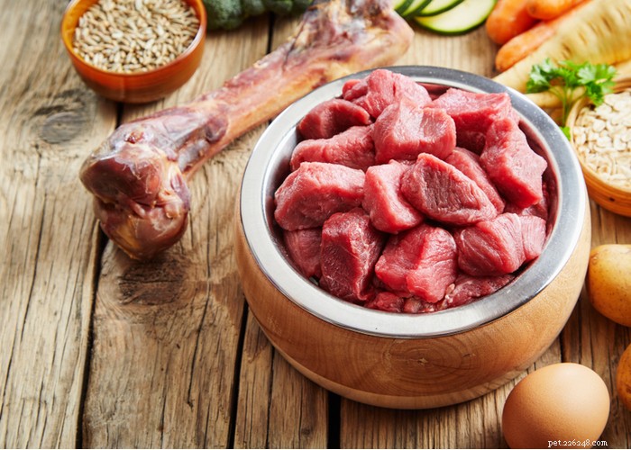 Simple Homemade Raw Dog Food Recipes for a Healthy, Natural Diet