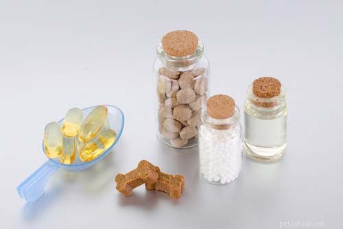 Homemade Dog Food Explained: 20 Benefits, Drawbacks, and Myths Debunked