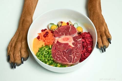 Homemade Dog Food Explained: 20 Benefits, Drawbacks, and Myths Debunked